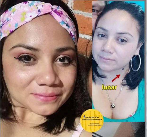 CARLA ANDREA ELIZALDE BERMÚDEZ