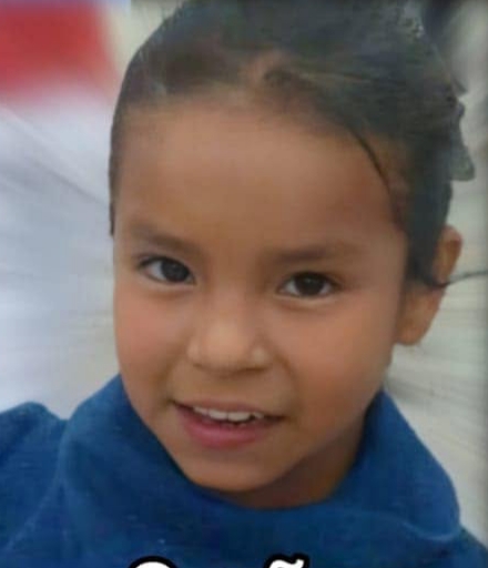Michell Palacios Medina 